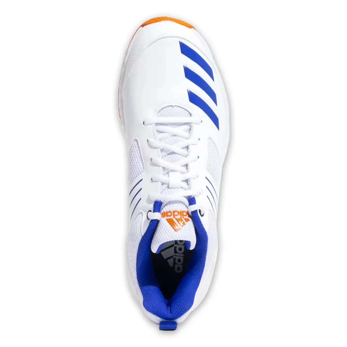 Adidas CRIHASE 23 Cricket Shoes