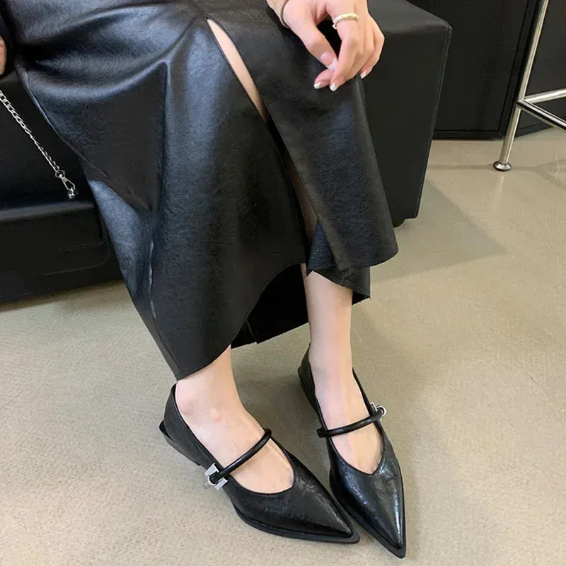 Hnzxzm Spring Autumn Pointed Toe Women Pumps Fashion Shallow Low Heel Shoes Ladies Street Style Mary Jane Shoes