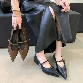 Hnzxzm Spring Autumn Pointed Toe Women Pumps Fashion Shallow Low Heel Shoes Ladies Street Style Mary Jane Shoes