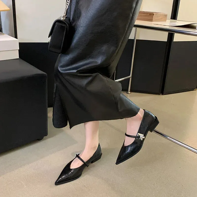 Hnzxzm Spring Autumn Pointed Toe Women Pumps Fashion Shallow Low Heel Shoes Ladies Street Style Mary Jane Shoes